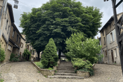 GOPA_Meeting-2025_Bergerac_20