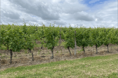 GOPA_Meeting-2025_Bergerac_32