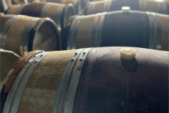 GOPA_Meeting-2025_Bergerac_33