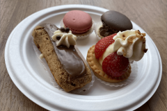 GOPA_Meeting-2025_Bergerac_36